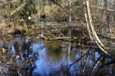 Walsrode, Aşağı Saksonya 'daki Boehme Nehri' nde kış.
