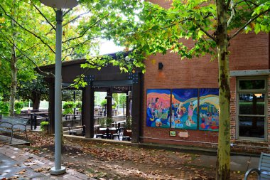 Asheville, Kuzey Carolina 'da Sokak Sahnesi