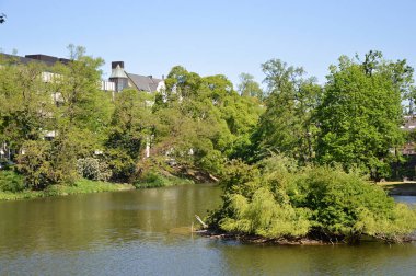 Şehir merkezindeki Duesseldorf Park, Kuzey Ren 'in başkenti - Vestfalya