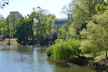 Şehir merkezindeki Duesseldorf Park, Kuzey Ren 'in başkenti - Vestfalya
