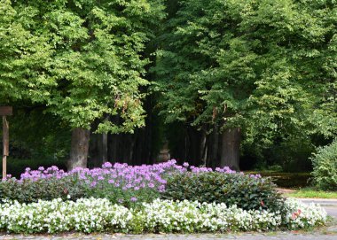 Bad Pyrmont, Aşağı Saksonya 'ya park et.