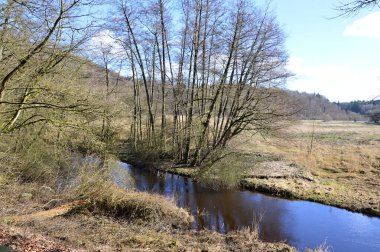 Ormanda İlkbahar Kötü Düşen Şehir, Aşağı Saksonya 'da