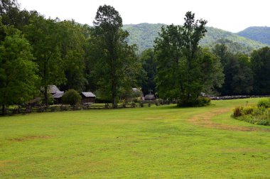 Great Smoky Dağları Ulusal Parkı, Tennessee 'deki Tarihi Çiftlik