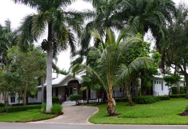 Meksika Körfezi, Florida 'daki Napoli Kasabası' na park et.