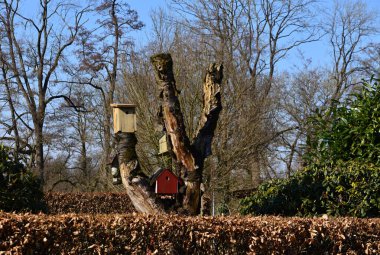 Baharda Köy Stellichte Çiftliği, Aşağı Saksonya