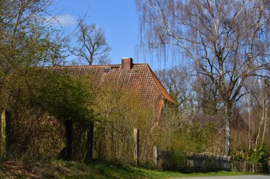 Historical Farm in Spring in the Village Borg, Lower Saxony clipart