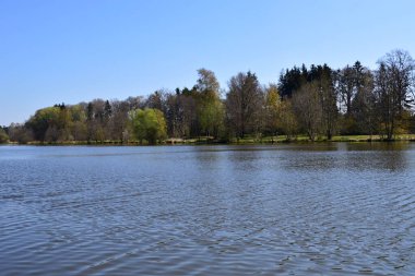 Lake in Spring in the Village Mueden at the River Oertze, Lower Saxony clipart