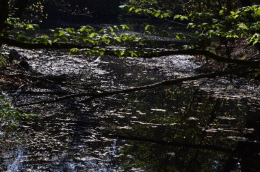 Baharda manzara Park halifax 'te Soltau kasabasında, Aşağı Saksonya