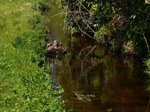 Baharda Park Köy Dorfmark, Aşağı Saksonya