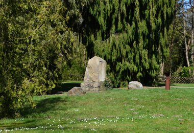 Park in Spring in the Village Dorfmark, Lower Saxony clipart