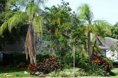 Meksika Körfezi, Florida 'daki Marco Adası' nda bir tatil yeri.