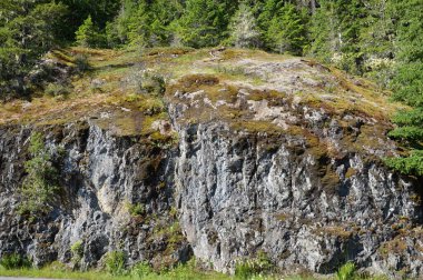 Rock on Hurricane Ridge Olympic Ulusal Parkı, Washington