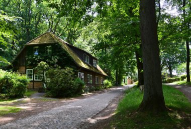 Manor Grasbeck Heath Lueneburger Heide, Walsrode, Aşağı Saksonya