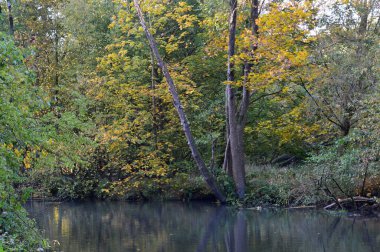 Sonbaharda Boehme Nehri 'nin manzarası Walsrode Kasabası, Aşağı Saksonya