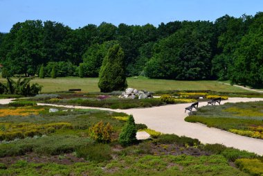 Schneverdingen kasabasındaki Heath Garden 'da. Aşağı Saksonya