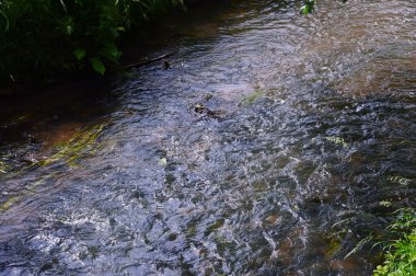 Boehme Nehri Bomlitz Kasabası, Aşağı Saksonya