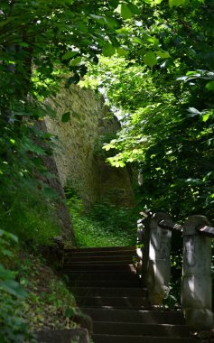 Tarihsel Kale Heidecksburg Rudolstadt, Thuringia 'da
