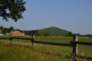Sonbaharda Heath Lueneburger Çiftliği Heide, Aşağı Saksonya