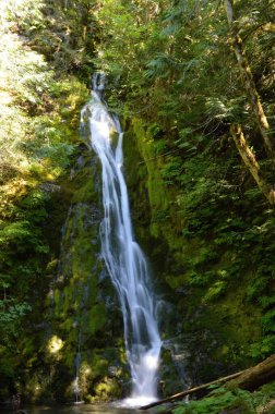 Madison Falls in Olympic National Park, Washington