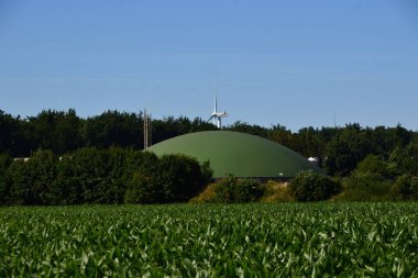 Heath Lueneburger 'de Çiftlik Heide, Aşağı Saksonya