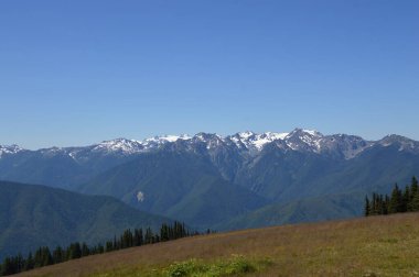 Washington Olimpiyat Ulusal Parkı 'ndaki Kasırga Tepesi Panoraması