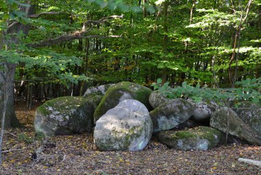 Fen Grundlose Kayalıkları Mağribi, Walsrode, Aşağı Saksonya