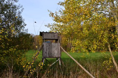 Autumn 'da Av Koltuğu Heath Lueneburger Heide, Aşağı Saksonya
