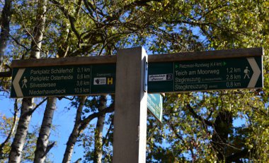 Heath Lueneburger Heide, Schneverdingen, Aşağı Saksonya
