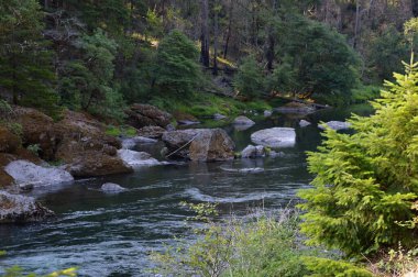Umpqua River in the Cascade Range, Oregon