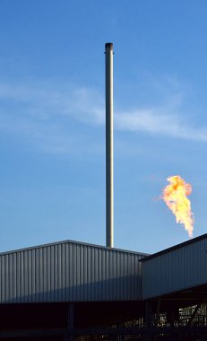 Heath Lueneburger Heide, Walsrode, Lower Saxony 'de Doğal Gaz Sondajı