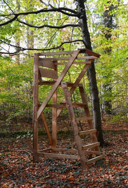Autumn 'da Av Koltuğu Heath Lueneburger Heide, Aşağı Saksonya