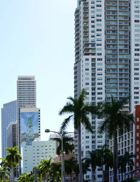 Miami, Florida 'da Sokak Sahnesi