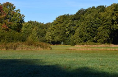 Autumn 'da Av Koltuğu Heath Lueneburger Heide, Aşağı Saksonya
