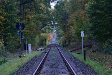 Heath Lueneburger Heide, Walsrode, Lower Saxony 'de Sonbaharda Demiryolu