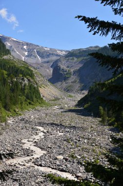 Nisqually Nehri, Mount Rainier Ulusal Parkı, Washington