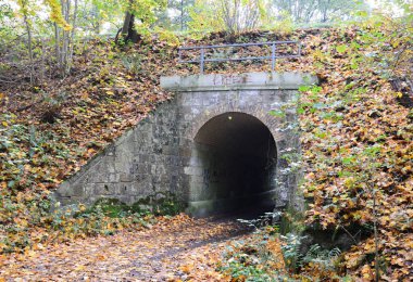 Heath Lueneburger Heide, Walsrode, Lower Saxony 'de Sonbaharda Demiryolu