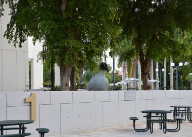 Miami, Florida 'da Sokak Sahnesi