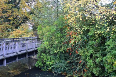 Walsrode, Aşağı Saksonya 'daki Tarihi Manastırda sonbahar
