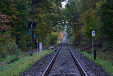 Heath Lueneburger Heide, Walsrode, Lower Saxony 'de Sonbaharda Demiryolu