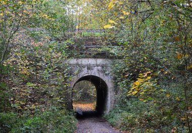 Heath Lueneburger Heide, Walsrode, Lower Saxony 'de Sonbaharda Demiryolu