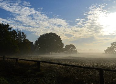 Heath Lueneburger 'de Sisli Sabah Heide, Aşağı Saksonya