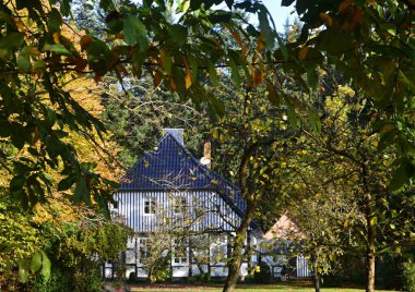 Heath Lueneburfer Heide, Walsrode, Lower Saxony Forsthof 'da sonbahar