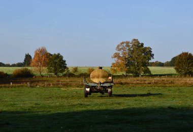 Sonbaharda Heath Lueneburger Heide, Aşağı Saksonya 'da manzara