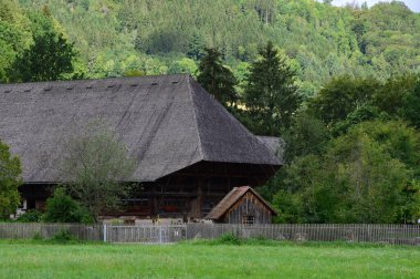 Kara Orman 'daki Tarihi Çiftlik, Gutach, Baden. Wuerttemberg
