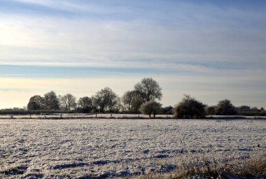 Kış mevsiminde River Aller 'da Grethem köyünde manzara, Aşağı Saksonya