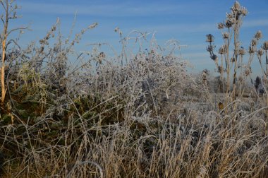 Kış mevsiminde Grethem Köyü, Aşağı Saksonya