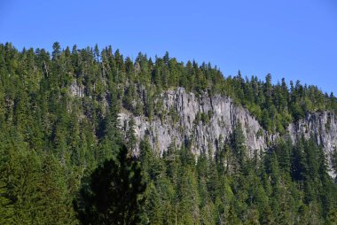 Manzara Rainier Dağı Milli Parkı, Washington