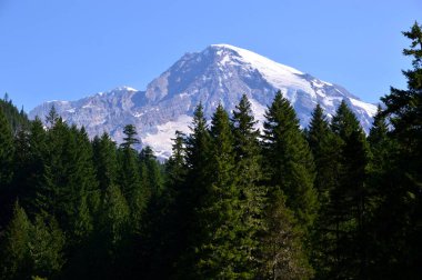 Panorama of Mount Rainier National Park, Washington