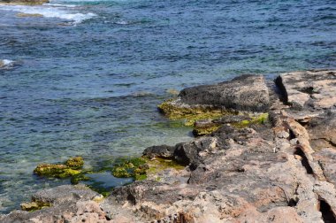 Malta Adası 'ndaki Portomaso' da Akdeniz Kıyısı