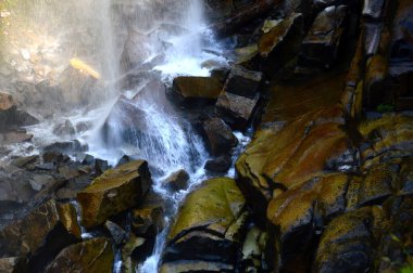 Waterfall in Mount Rainier National Park, Washington